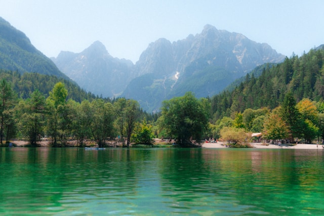 Haltronesia резултати